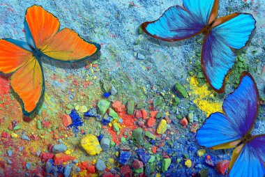 Renkli pastel boyaların arka planında parlak tropikal morpho kelebekleri. renk konsepti. en üstteki görünüm
