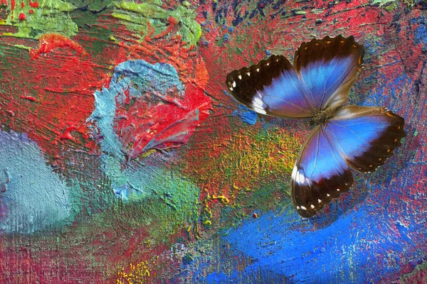Helderblauwe Morfovlinder Kleurrijk Kunstenaarspalet Palet Met Verf Tropische Vlinder Stockafbeelding