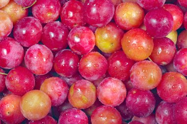 parlak olgun kiraz aromalı erik dokusu. Misrobalan eriği. Tasarım için yüzey. en üstteki görünüm