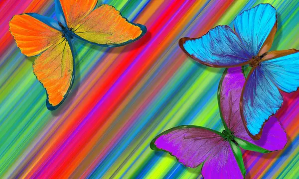 Colori Dell Arcobaleno Luminose Farfalle Morpho Tropicali Uno Sfondo Colorato Foto Stock