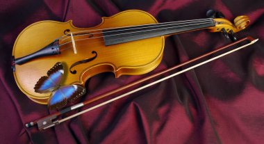 Koyu kahverengi kumaşta keman ve yay.