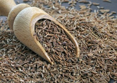 Bir kepçedeki kuru kimyon. Kapat.