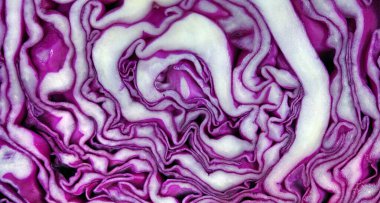 Taze kırmızı lahana dokusu. Üst Manzara. Doğal mor arkaplan