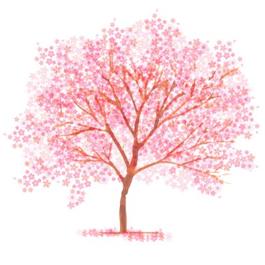 Kiraz çiçeği bahar çiçeği ikonu