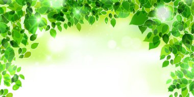 Taze yeşil yaprak manzara arka plan