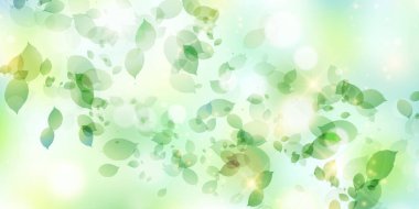 Taze yeşil yaprak manzara arka plan