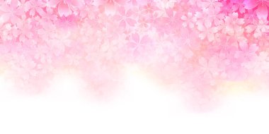 Cherry Blossom spring Japanese pattern background