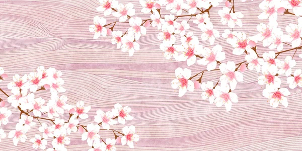 Cherry Blossom Spring Japanese Pattern Background —  Vetores de Stock