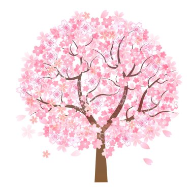 Kiraz çiçeği bahar ağacı simgesi