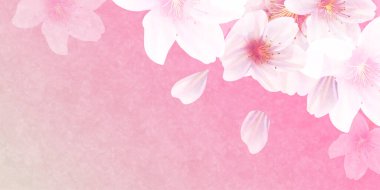 Cherry Blossom spring Japanese pattern background