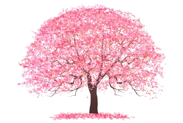 Kirschblüte Frühlingsbaum Symbol — Stockvektor