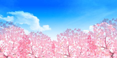cherry blossom sky landscape background