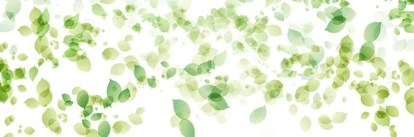 新鲜绿叶景观背景 — 图库矢量图片