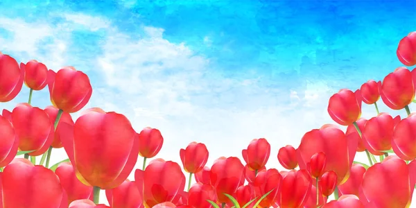 Tulip Sky Flower Watercolor Background — Stock Vector