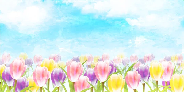 Lale Gökyüzü Çiçeği Suluboya Arkaplan — Stok Vektör