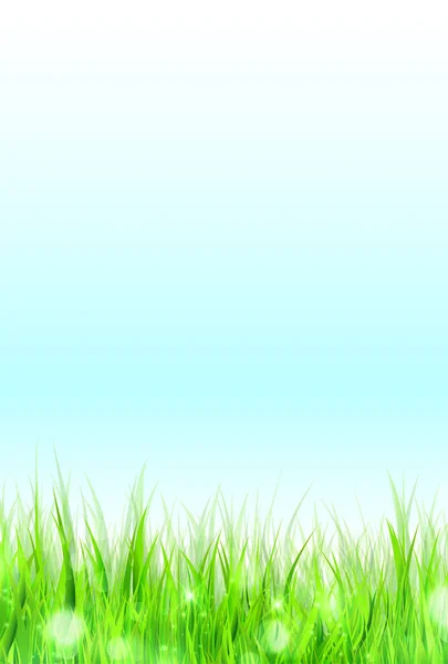 Sky Grassland Landscape Nature Background — Stock Vector