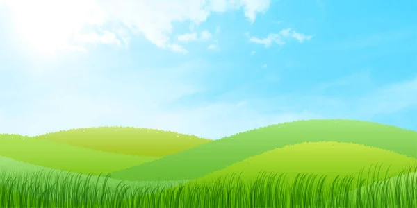 Sky Grassland Landscape Nature Background — Stock Vector