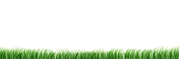 Gräs Äng Landskap Naturlig Bakgrund — Stock vektor