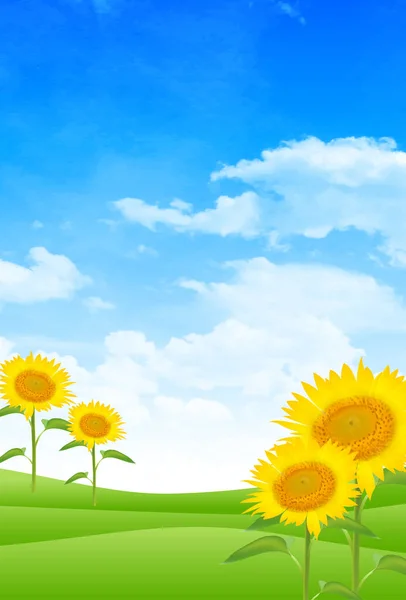 Summer Greeting Card Sunflower Japanese Pattern Background — Stock Vector