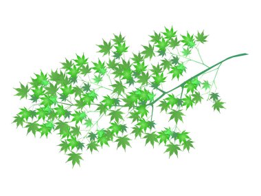 Taze yeşil akçaağaç yaprağı simgesi