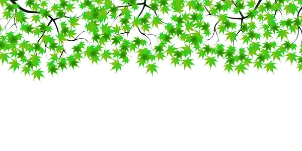 Fresco Sfondo Foglia Acero Verde — Vettoriale Stock