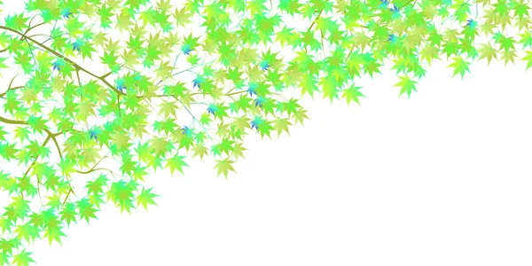 Свіжий Зелений Кленовий Фон Листя — стоковий вектор