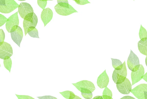 Čerstvé Zelené Listy Strom Pozadí — Stockový vektor