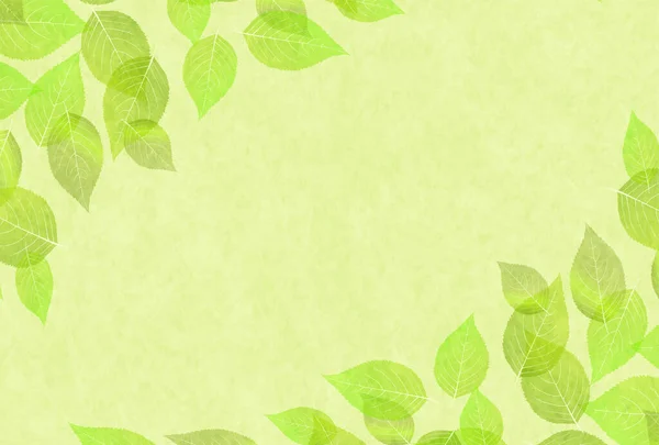Зеленый Фон Листьев — стоковый вектор