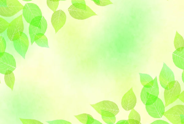 新鲜绿叶树背景 — 图库矢量图片