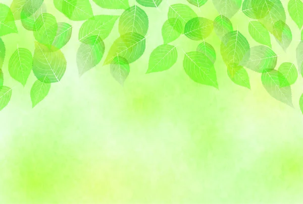 Čerstvé Zelené Listy Strom Pozadí — Stockový vektor