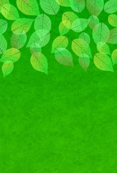 Taze Yeşil Yaprak Ağacı Arka Planı — Stok Vektör