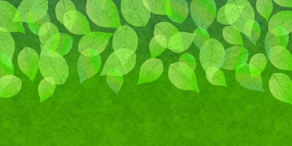 Färska Gröna Löv Träd Bakgrund — Stock vektor
