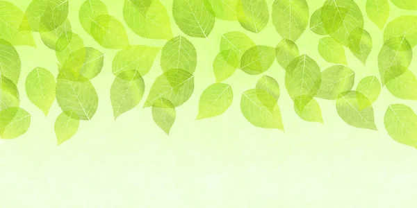 Taze Yeşil Yaprak Ağacı Arka Planı — Stok Vektör