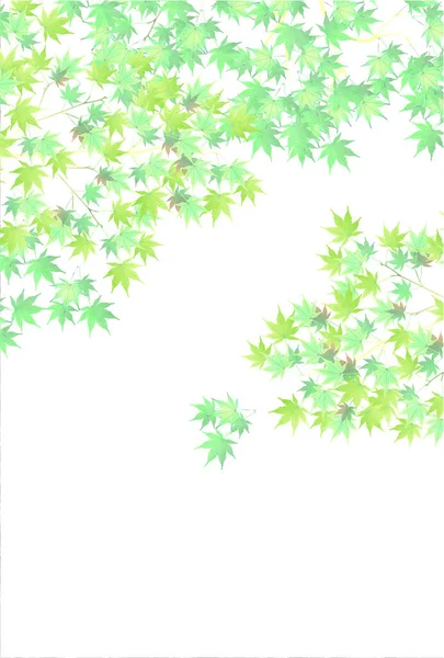 Frisches Grünes Ahornblatt Hintergrund — Stockvektor
