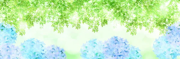 Hortensie Regenzeit Blume Hintergrund — Stockvektor
