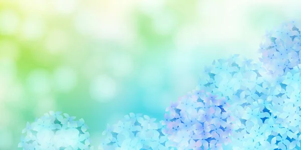 Hydrangea雨季花卉背景 — 图库矢量图片