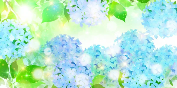 Hydrangea Rainy Season Flower Background — Stock Vector