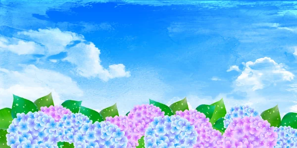 Hydrangea Období Dešťů Květinové Pozadí — Stockový vektor