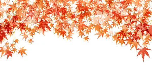 Sonbahar Akçaağaç Ağaç Yaprakları Sonbahar Arkaplanı — Stok Vektör