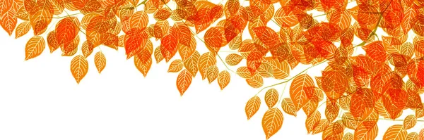 Autumn Leaves Autumn Landscape Background — Stock Vector