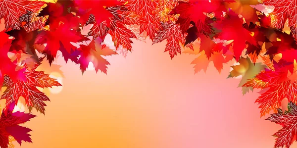 Folhas Outono Árvore Bordo Outono Fundo — Vetor de Stock
