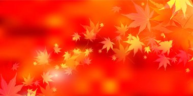 Sonbahar Akçaağaç Ağaç Yaprakları Sonbahar Arkaplanı