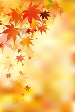 Sonbahar Akçaağaç Ağaç Manzarası Yaprakları Arkaplanı