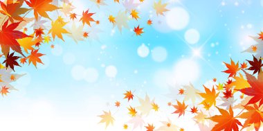 Sonbahar Akçaağaç Ağaç Manzarası Yaprakları Arkaplanı