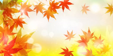 Sonbahar Akçaağaç Ağaç Yaprakları Sonbahar Arkaplanı