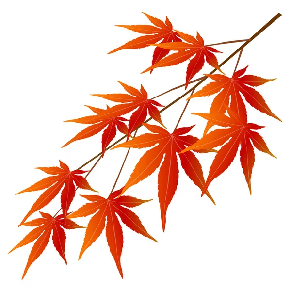 Musim Gugur Meninggalkan Ikon Daun Maple - Stok Vektor
