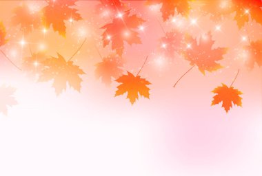 Sonbahar Akçaağaç Ağaç Yaprakları Sonbahar Arkaplanı