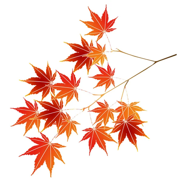 Foglie Autunnali Maple Leaf Icon — Vettoriale Stock