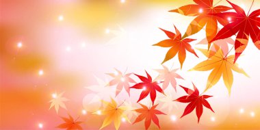 Sonbahar Akçaağaç Ağaç Yaprakları Sonbahar Arkaplanı