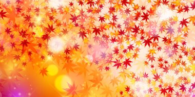 Sonbahar Akçaağaç Ağaç Yaprakları Sonbahar Arkaplanı